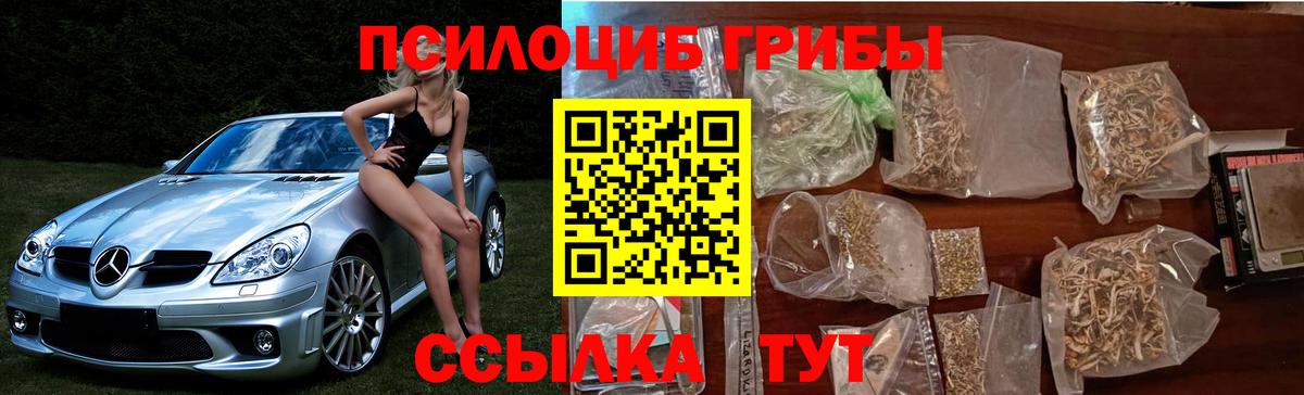 Псилоцибиновые грибы Magic Shrooms Чайковский